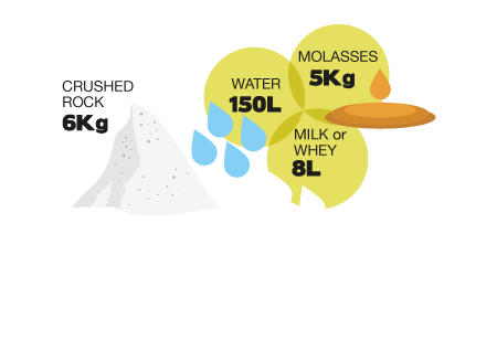 Mineralization Program