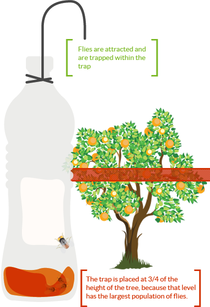 trapping bottle